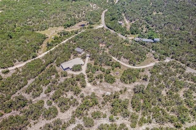 1000 Mount Olive School Rd, Wimberley, TX 78676 - photo 22