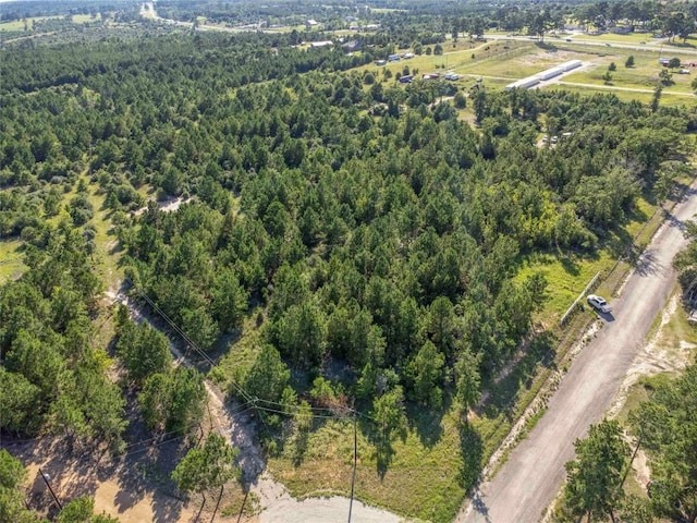 LOT4 Autumn Rdg, Bastrop, TX 78602 - photo 2