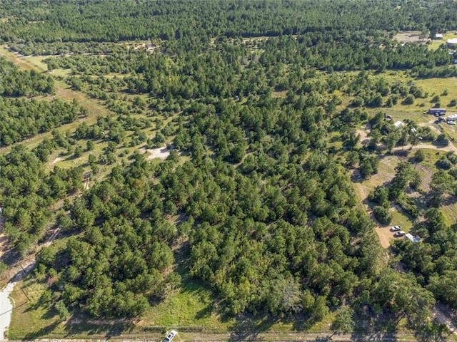 LOT4 Autumn Rdg, Bastrop, TX 78602 - photo 3