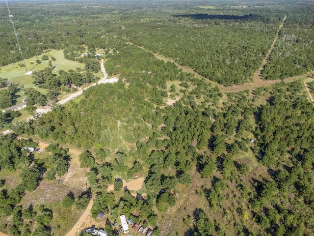 LOT4 Autumn Rdg, Bastrop, TX 78602 - photo 4