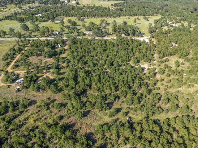 LOT4 Autumn Rdg, Bastrop, TX 78602 - photo 5