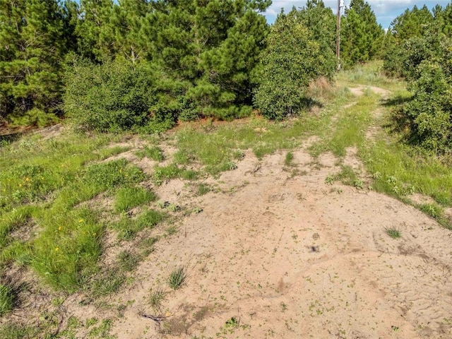 LOT4 Autumn Rdg, Bastrop, TX 78602 - photo 6