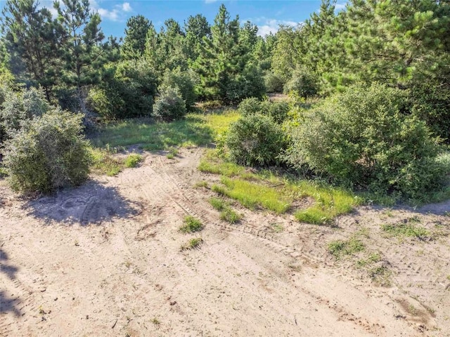 LOT4 Autumn Rdg, Bastrop, TX 78602 - photo 7