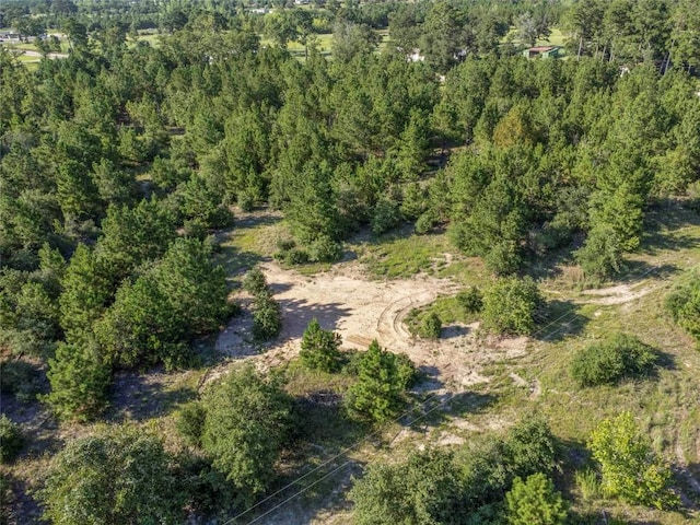 LOT4 Autumn Rdg, Bastrop, TX 78602 - photo 8