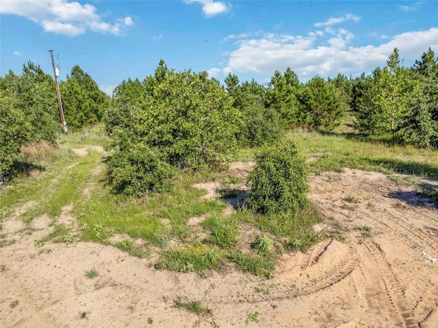 LOT4 Autumn Rdg, Bastrop, TX 78602 - photo 10