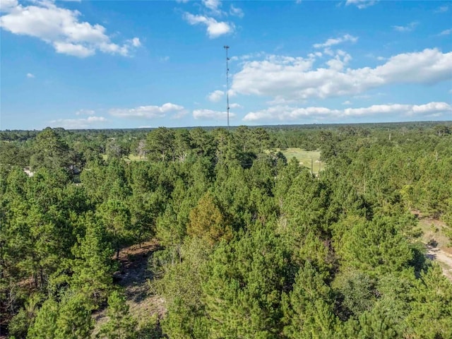 LOT4 Autumn Rdg, Bastrop, TX 78602 - photo 11