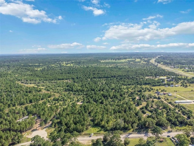 LOT4 Autumn Rdg, Bastrop, TX 78602 - photo 12