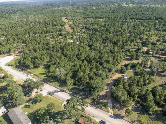 LOT4 Autumn Rdg, Bastrop, TX 78602 - photo 13