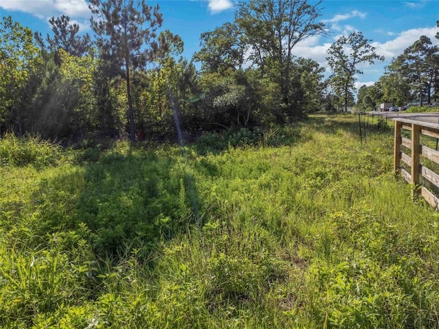 LOT4 Autumn Rdg, Bastrop, TX 78602 - photo 14