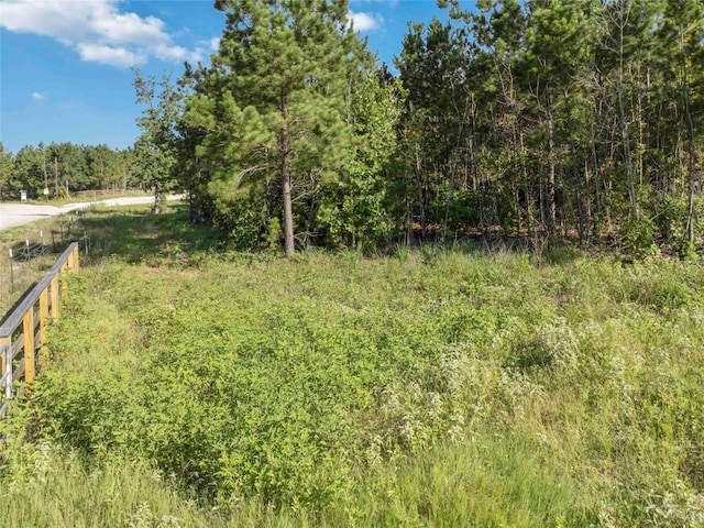 LOT4 Autumn Rdg, Bastrop, TX 78602 - photo 15