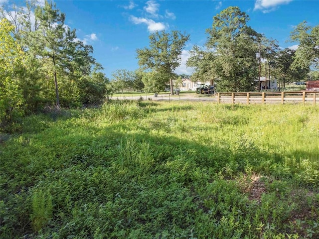 LOT4 Autumn Rdg, Bastrop, TX 78602 - photo 16