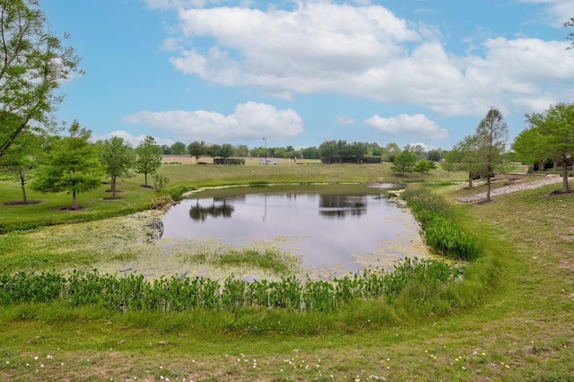 546 Pepperbark Loop, Buda, TX 78610 - photo 31