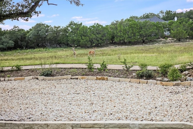 20906 Marquette Cv, Lago Vista, TX 78645 - photo 34
