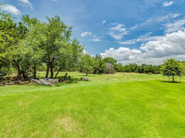 1421 Nature View Loop, Driftwood, TX 78619 - photo 35