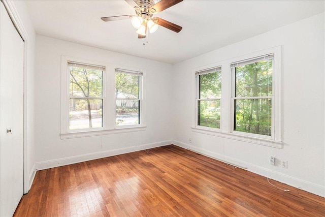 3710 Hollywood Ave, Austin, TX 78722 - photo 14