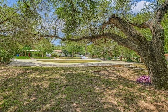 2002 Winsted Ln, Austin, TX 78703 - photo 10