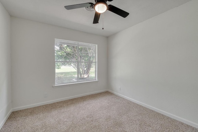 122 Blanket Flower Dr, Bastrop, TX 78602 - photo 13