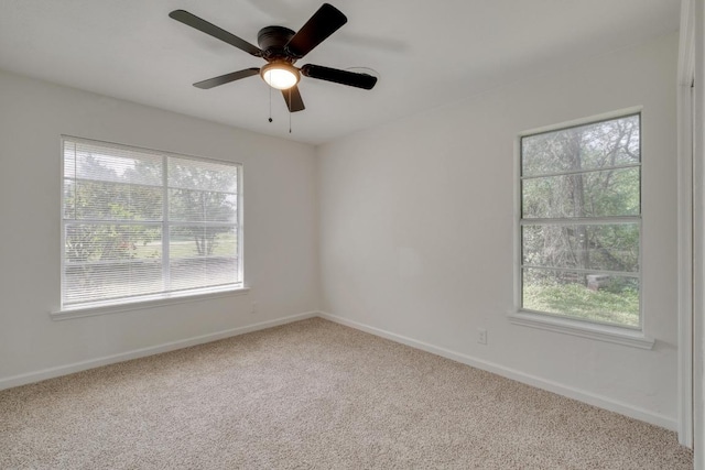 122 Blanket Flower Dr, Bastrop, TX 78602 - photo 11