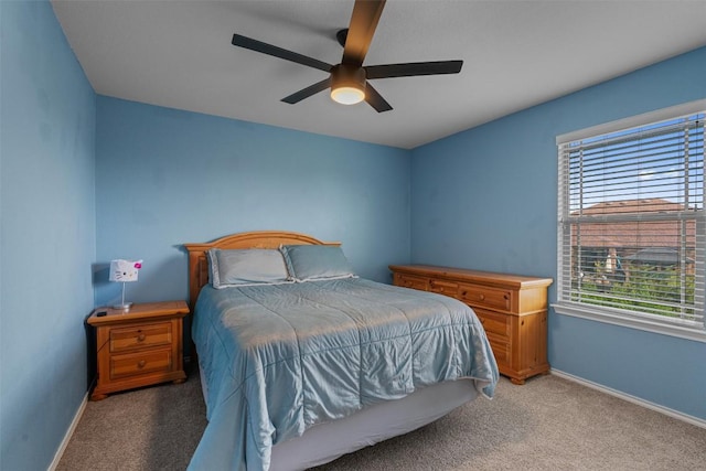 804 Water Hyacinth Loop, Leander, TX 78641 - photo 23