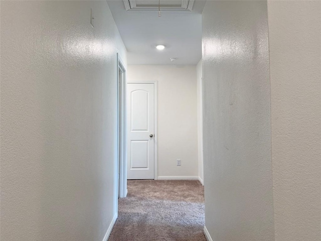 18304 Speculator Ln, Elgin, TX 78621 - photo 28
