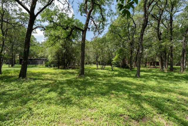 3511 Wyldwood Rd, Austin, TX 78739 - photo 6