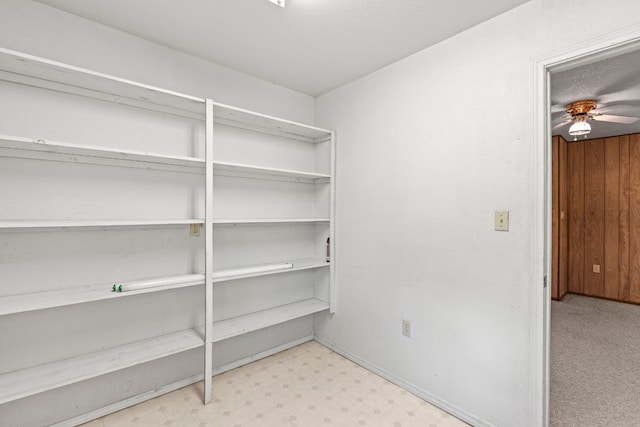 3511 Wyldwood Rd, Austin, TX 78739 - photo 28
