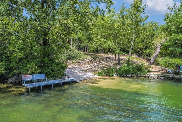 14603 Debba Dr, Austin, TX 78734 - photo 25