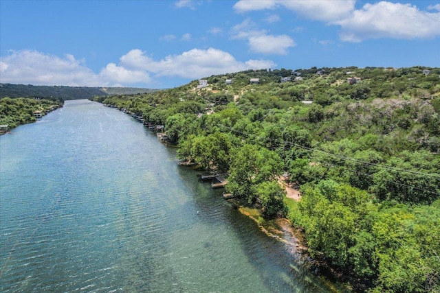 14603 Debba Dr, Austin, TX 78734 - photo 26