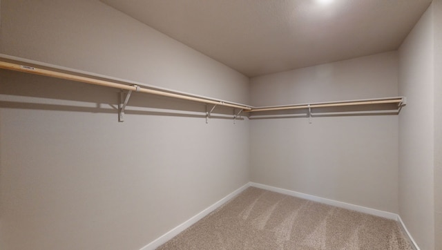 4028 Illian Cv, Killeen, TX 76542 - photo 28