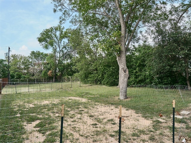 2817 E 22nd St, Austin, TX 78722 - photo 4
