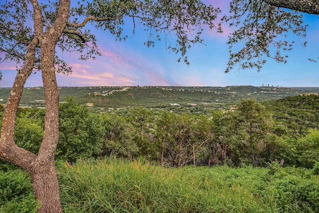 7103 Sansivera Cv, Austin, TX 78750 - photo 17