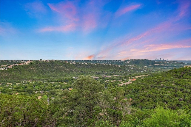 7103 Sansivera Cv, Austin, TX 78750 - photo 19