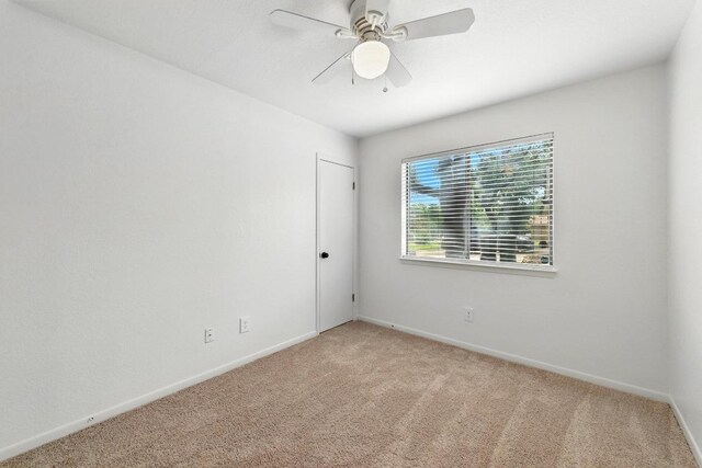 1010 Serenada Dr, Georgetown, TX 78628 - photo 26