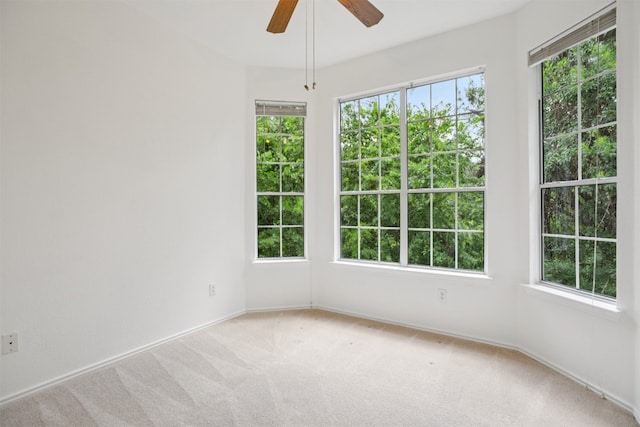 12401 Los Indios Trl Unit 5, Austin, TX 78729 - photo 15