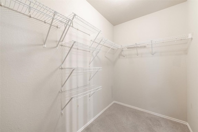 12821 Thomas Jefferson St, Manor, TX 78653 - photo 23