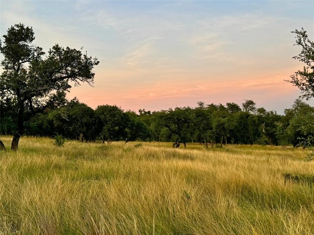 LOT639 Beretta Dr, Fredericksburg, TX 78624 - photo 1
