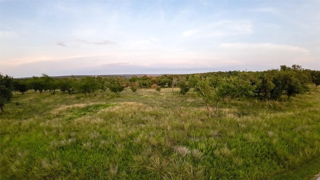 LOT639 Beretta Dr, Fredericksburg, TX 78624 - photo 5