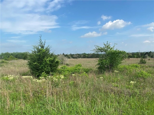 7446 W State Highway 159, Fayetteville, TX 78940 - photo 1