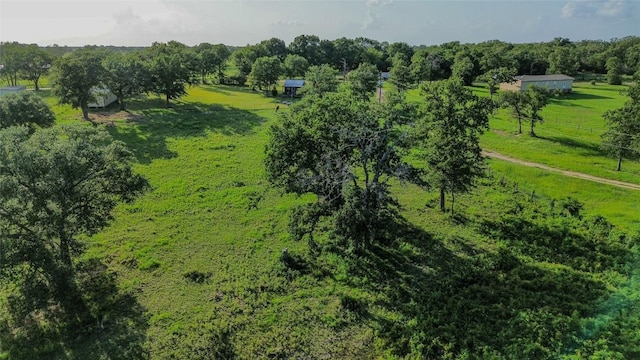 4916 County Road 127, Ledbetter, TX 78946 - photo 12