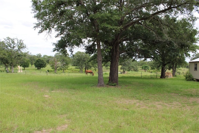 4916 County Road 127, Ledbetter, TX 78946 - photo 16