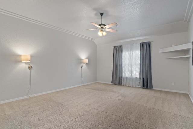 3005 Brandy Ln, Georgetown, TX 78628 - photo 19