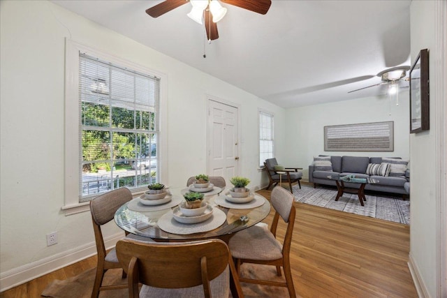 4012 Ridgelea Dr, Austin, TX 78731 - photo 9