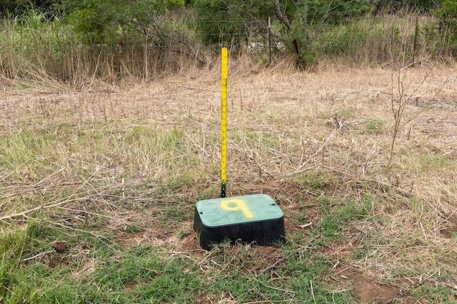 LOT9 Tenney Creek Rd, Luling, TX 78644 - photo 4