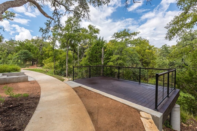 229 Blue Waterleaf Ln, Georgetown, TX 78626 - photo 30