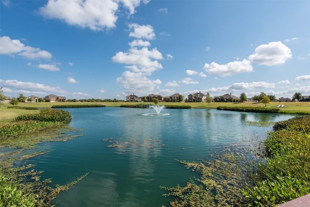229 Blue Waterleaf Ln, Georgetown, TX 78626 - photo 31