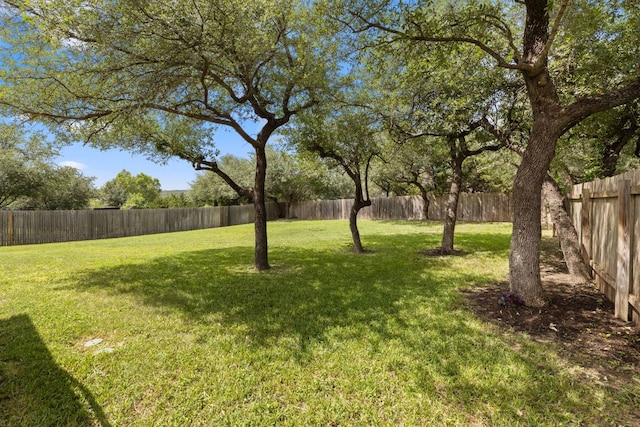 17900 Linkview Dr, Dripping Springs, TX 78620 - photo 37