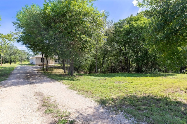 119 Arrowhead Ct, Bastrop, TX 78602 - photo 6