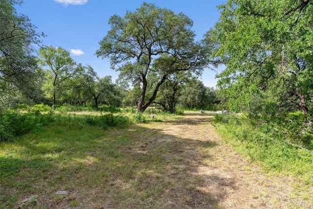 301 County Road 281, Leander, TX 78641 - photo 9