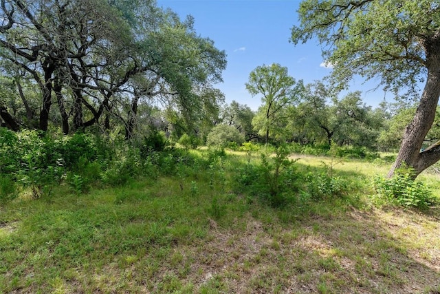 301 County Road 281, Leander, TX 78641 - photo 11