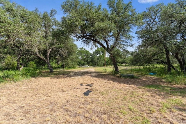 301 County Road 281, Leander, TX 78641 - photo 12